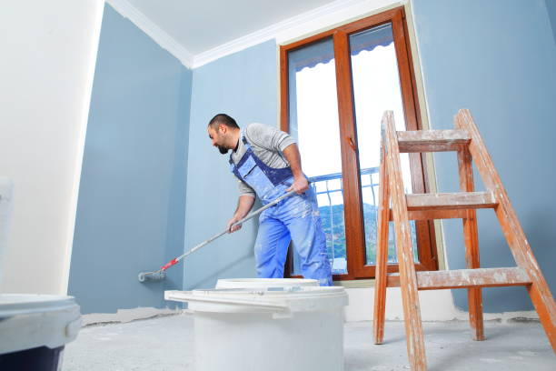 Best Emergency Mold Remediation  in Pine Bluff, AR