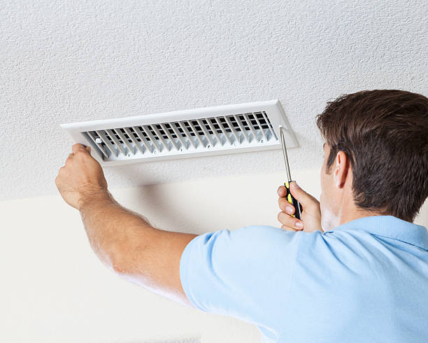 Best Mold Documentation for Insurance Claims  in Pine Bluff, AR