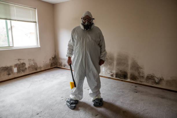 Best Mold Odor Removal Services  in Pine Bluff, AR